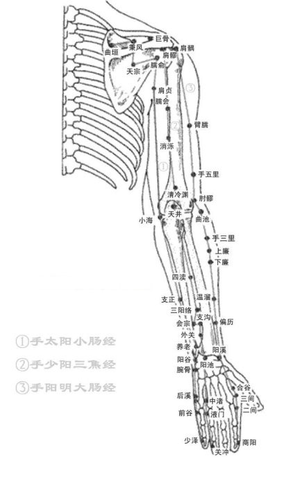 人體要穴——會陰