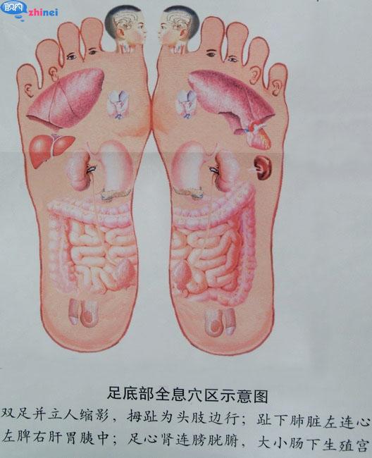 腿部反射区图解图片