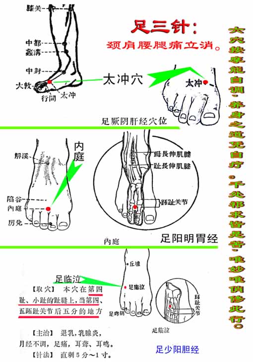 每日特效穴位:足三针穴