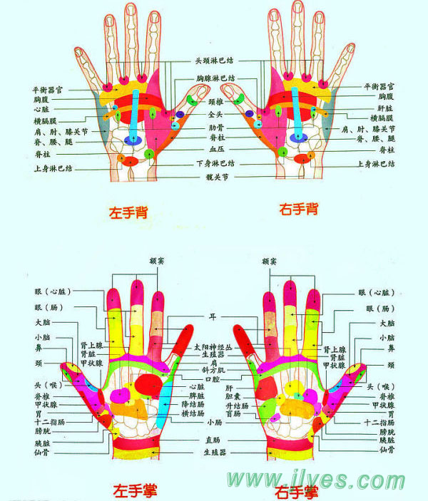 手部按摩图位置示意图图片