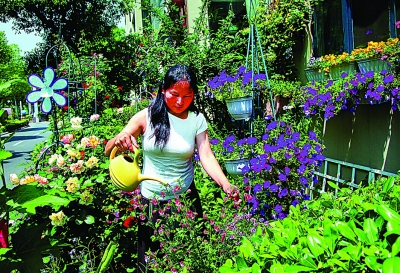 种花养草有"密码" 看看养花达人的秘诀(图)