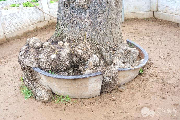 身在奇中跟随康熙的脚步寻访白云寺