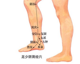 腎經和膀胱經為女人撐腰女性保養秘訣