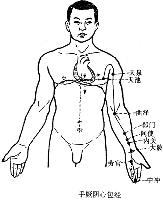 掌中(勞宮穴)分出,沿著無名指尺側至指端(關衝穴),與手少陽三焦經相接