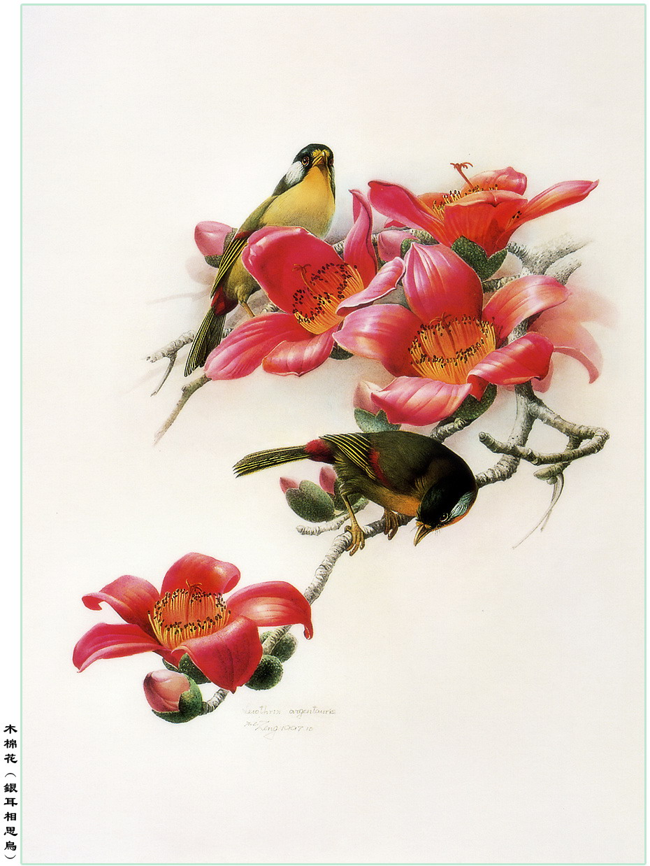 曾孝濂百鸟图精选极品高清