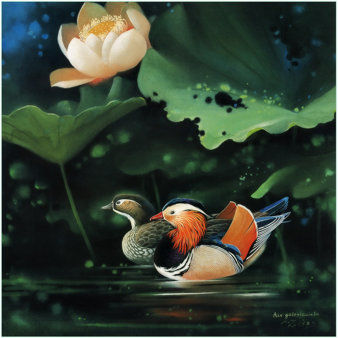 曾孝濂百鸟图精选极品高清