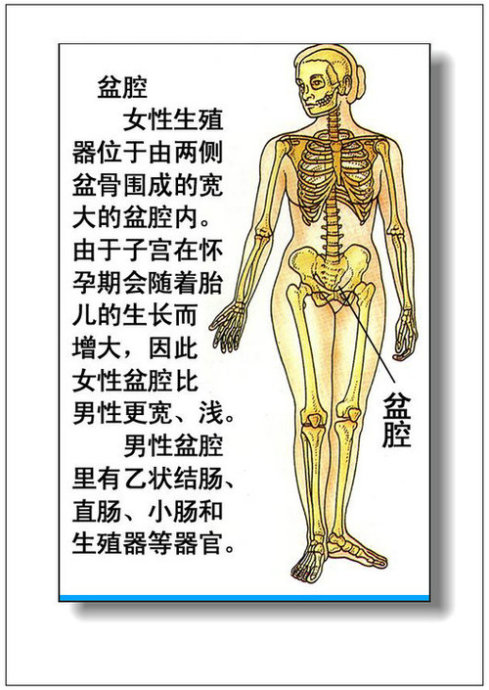 76張彩圖詳解男女人體器官及病理值得收藏