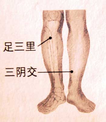 三陰交的準確位置圖