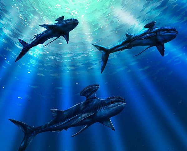 曾漫步过地球上的25种远古生物