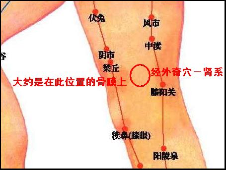 【上醫治未病】接觸按摩時間長了,慢慢也久病成醫了.