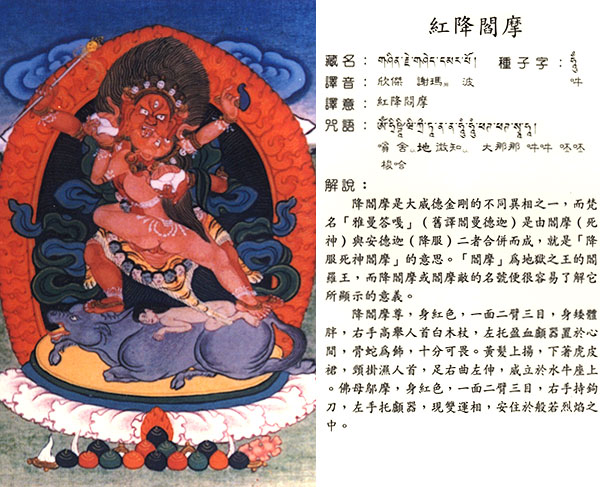 最珍贵的藏密实修唐卡咒语的藏文汉文相对应请收藏