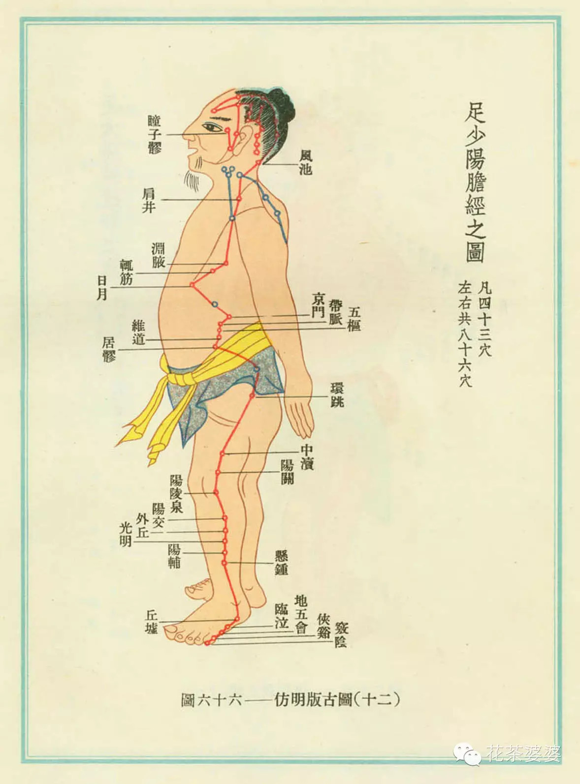 阳跷脉经络循行图图片