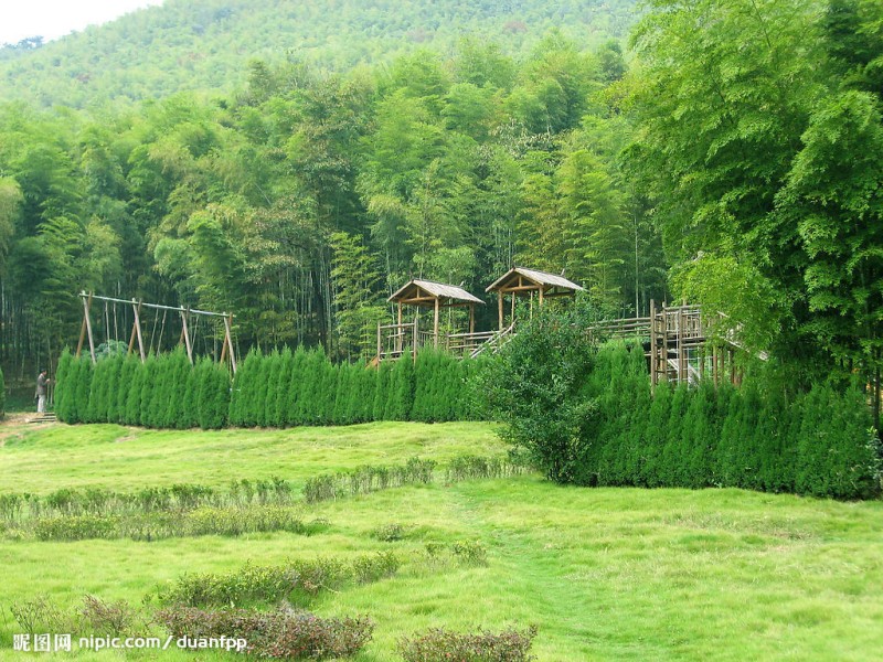 竹林深处精美竹林风景55幅