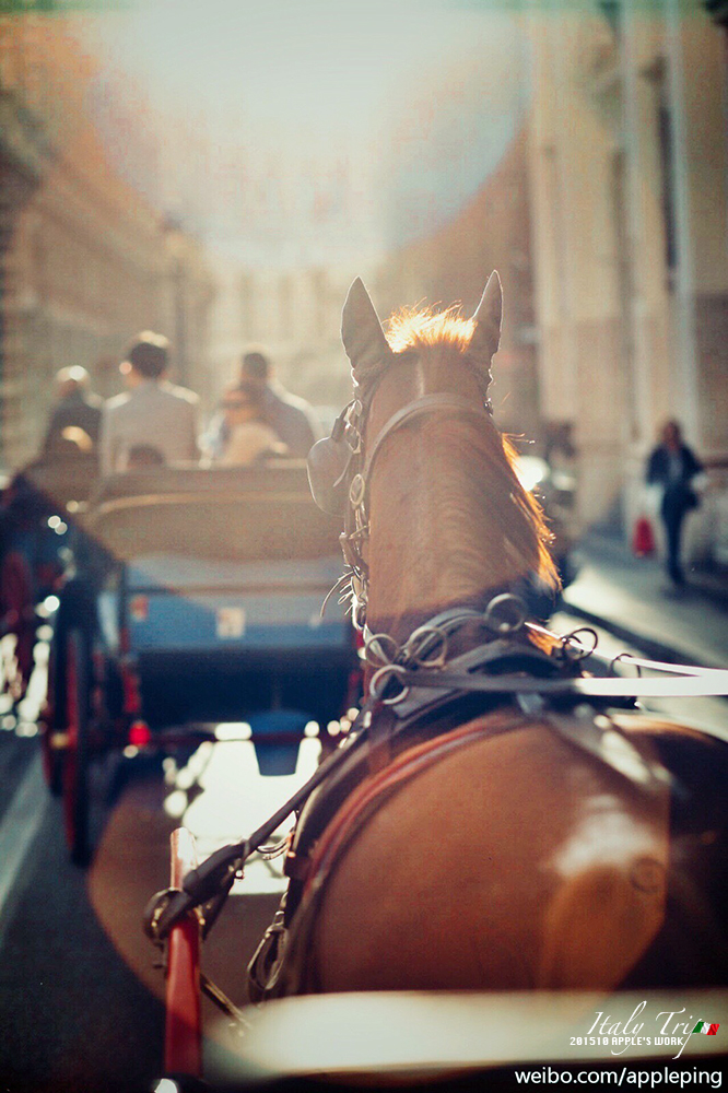 有品质的意大利之旅马车逛罗马梵蒂冈博物馆