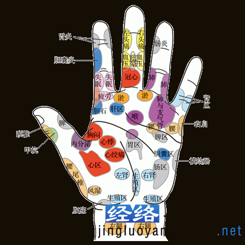 清晰手诊图谱-拍打时手上出痧与脏腑对照图