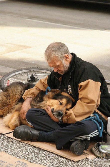 养一只汪星人吧,无论你贫穷还是富有,它会一直陪着你.徐州彭城视窗