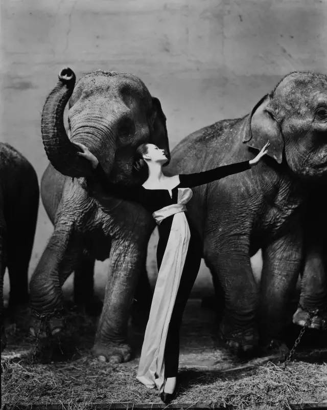 100位世界摄影大师的代表作