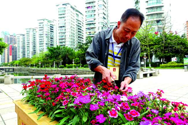 园林工程师用37年用心雕刻城市客厅