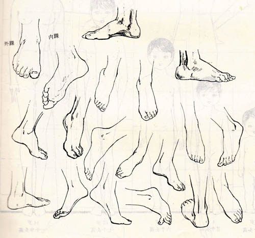 人体画像不同部位的画法分解 好网角文章收藏