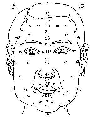 人脸面相图解图片