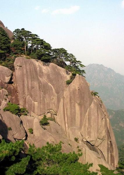 提示信息龙的天空lkongnet龙空