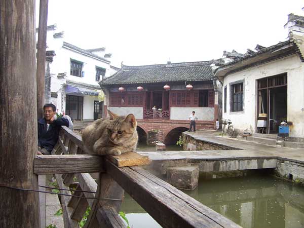 提示信息龙的天空lkongnet龙空