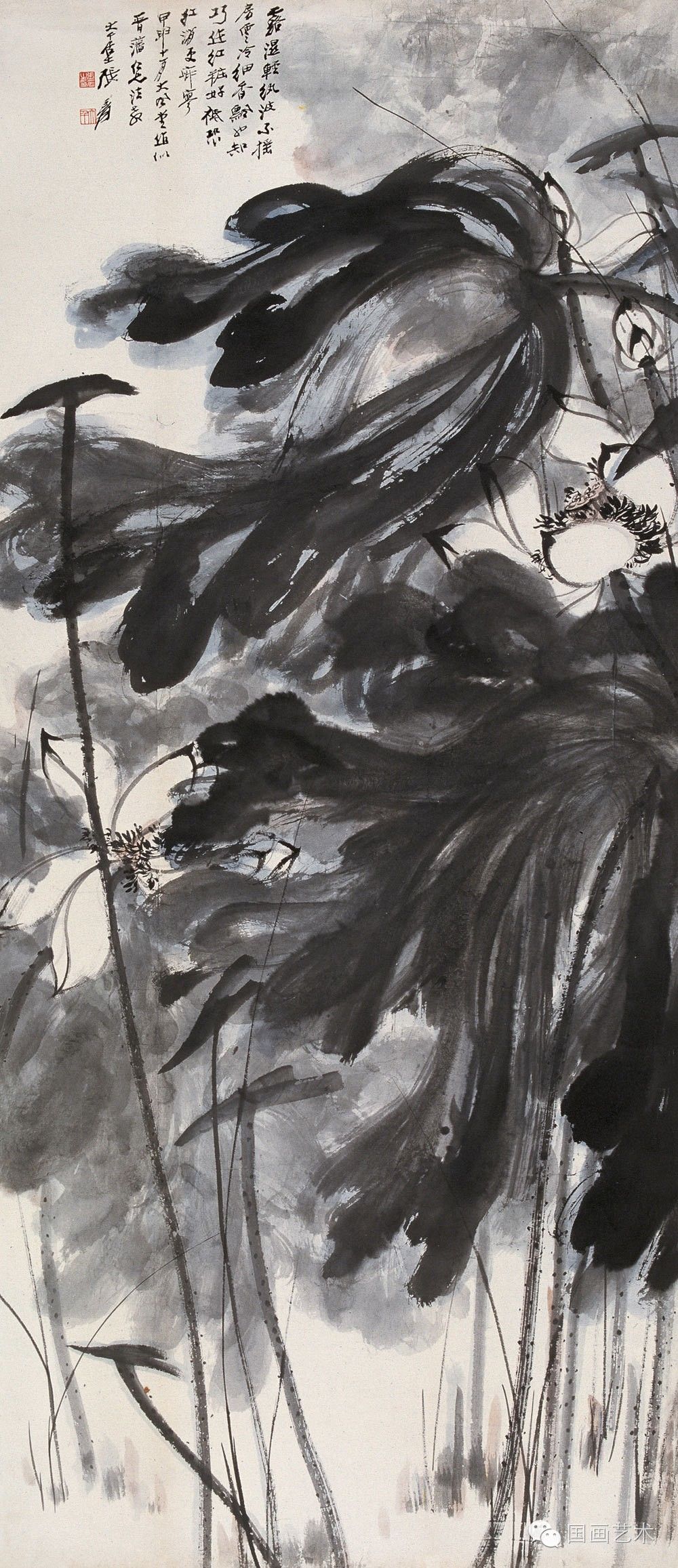 张大千荷花作品五十幅清赏