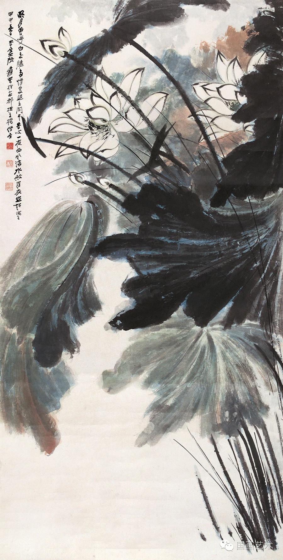 张大千荷花作品五十幅清赏