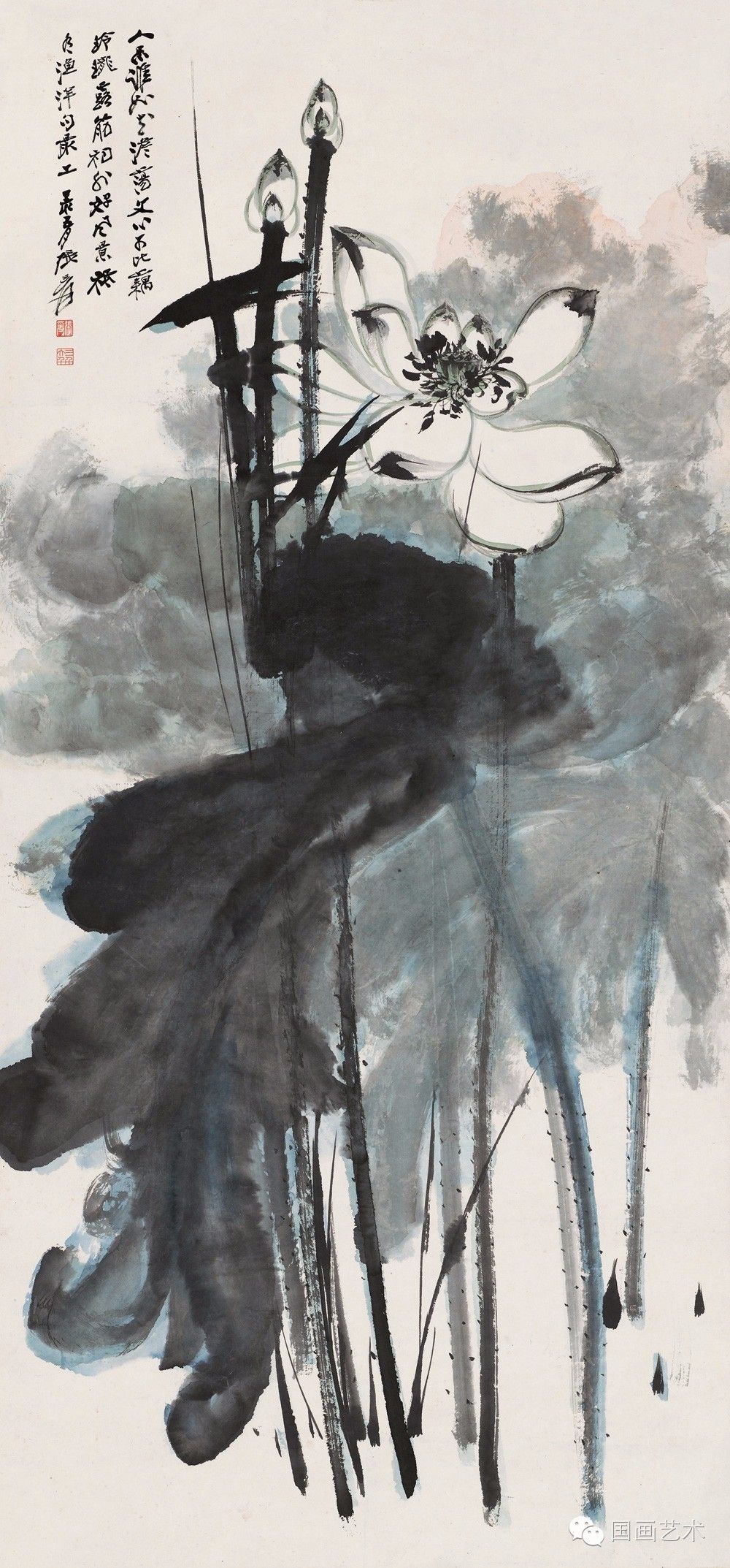 张大千荷花作品五十幅清赏