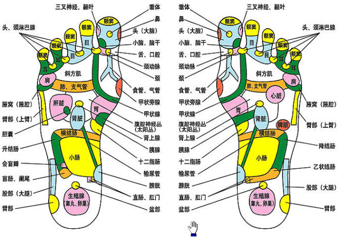 摸——摸腳自診病,防患於未然經常用手指觸摸您雙腳的各個部位,如觸摸