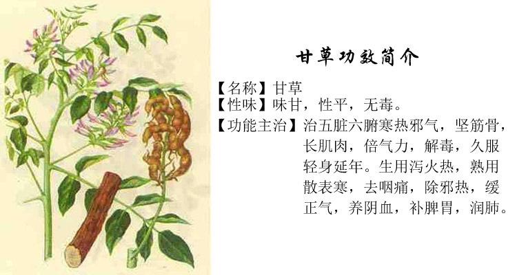 中医千古名方专治支气管炎咳嗽痰多症