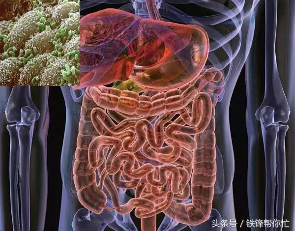 大便后总是感觉没上完?除了体湿,还可能是肠道不干净所致.