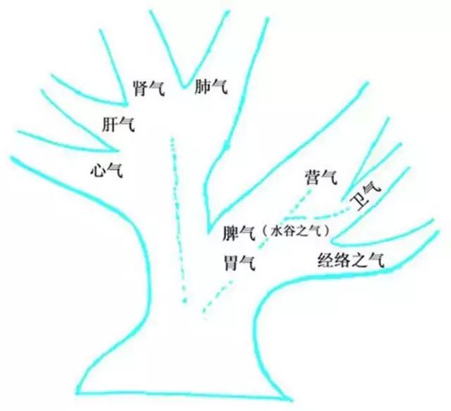 气足年轻十岁中医教你调理气虚