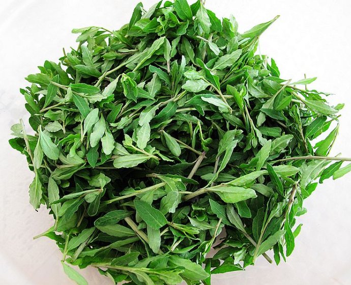 第一次看到空心菜开花,有玉器的风骨秋天土里长出野荠菜,估计是鸟鸟衔