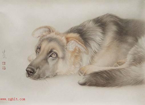 工笔国画画狗,生动又活力,可爱又灵气,珍藏的精品