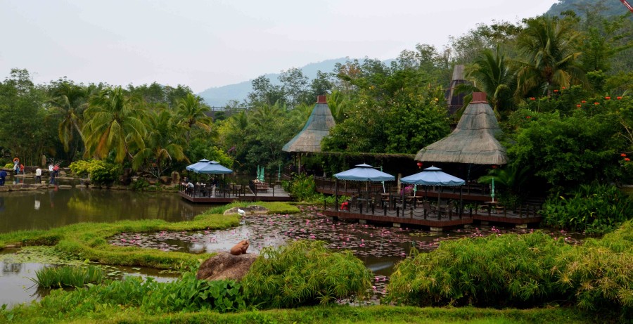 国家五a级海南呀诺达雨林景区60幅