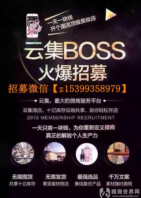收入证明_微店收入来源(2)