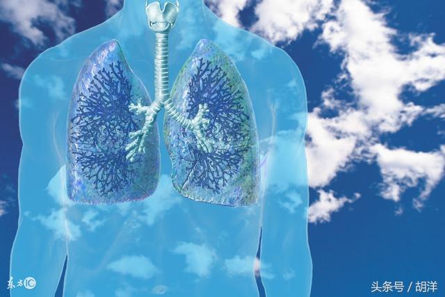 没有丝毫阻塞,呼吸空气一般阻力甚小,几乎可以忽略不计,肺可以吸入