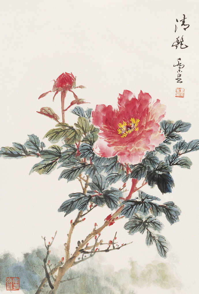 乔木画花鸟清新大气