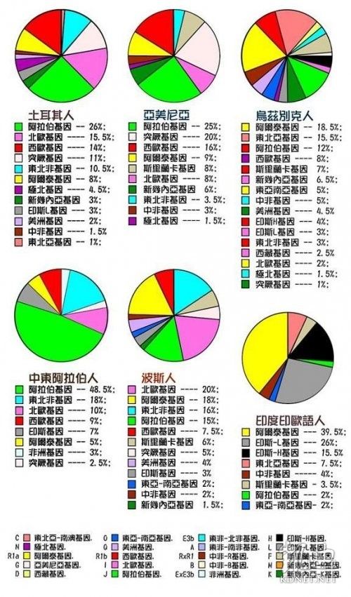 美国民族构成图片