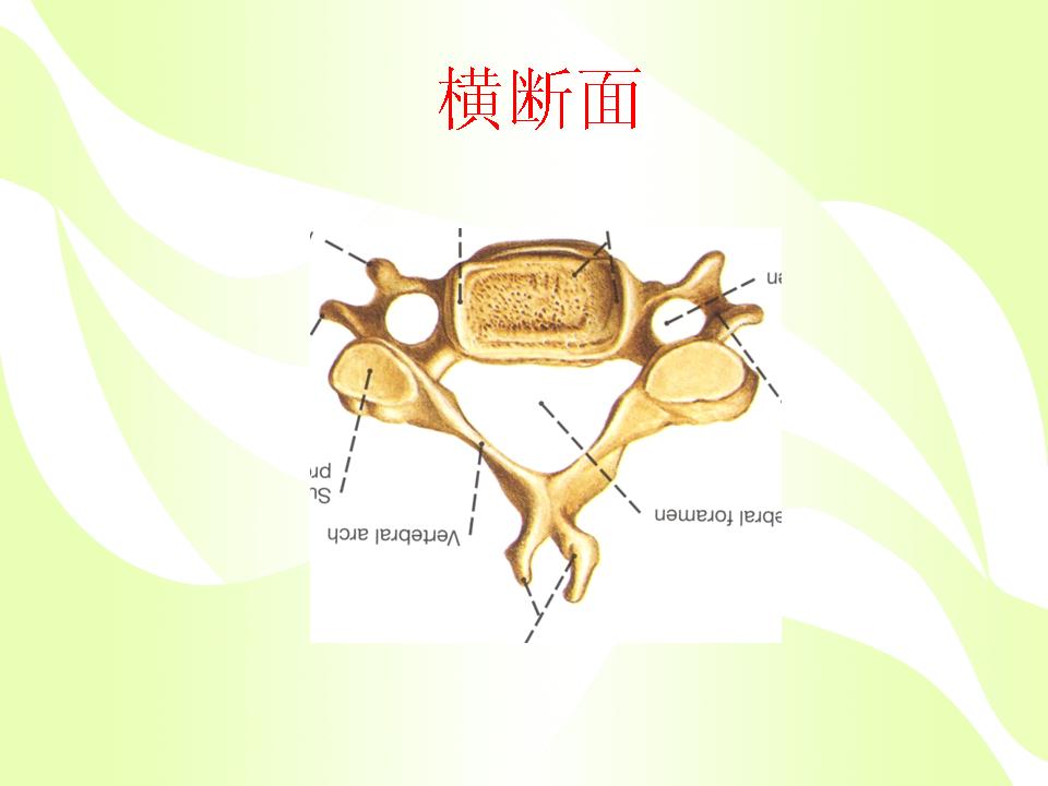 颈椎病的原因治疗让您一目了然