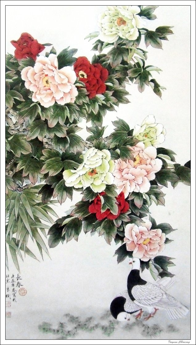 【3d-插画-工笔画素材篇】唯有牡丹真国色工笔画 【3d-插画-工笔画