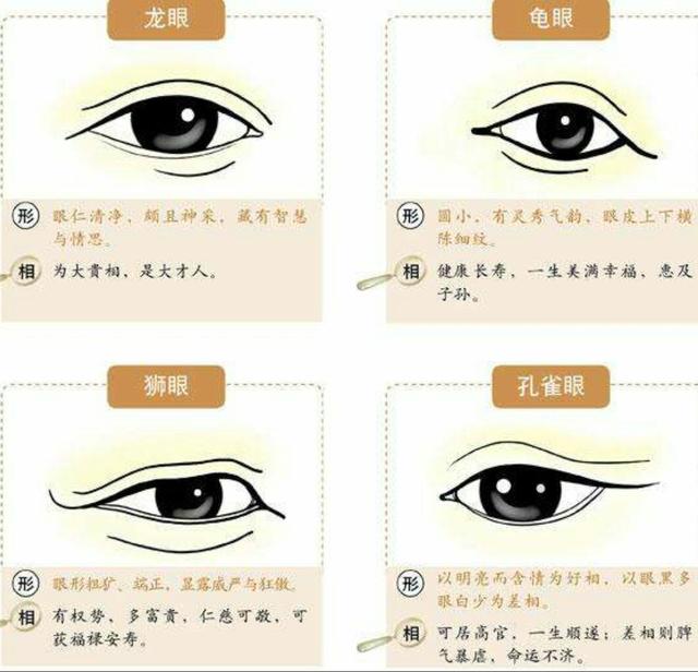 讲面相终极篇36