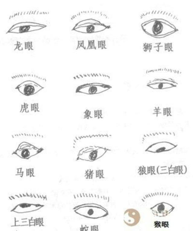 讲面相终极篇36