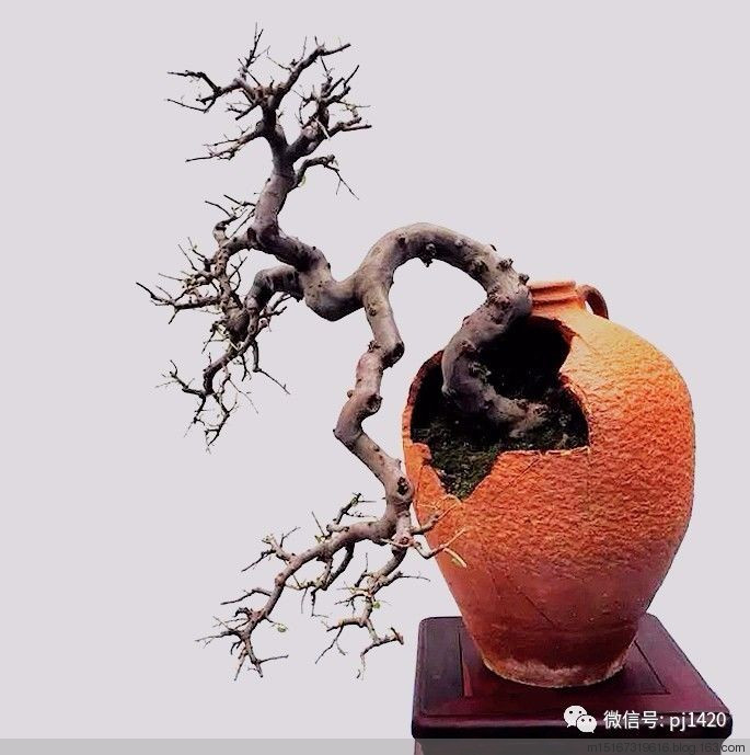 破罐子大有用处
