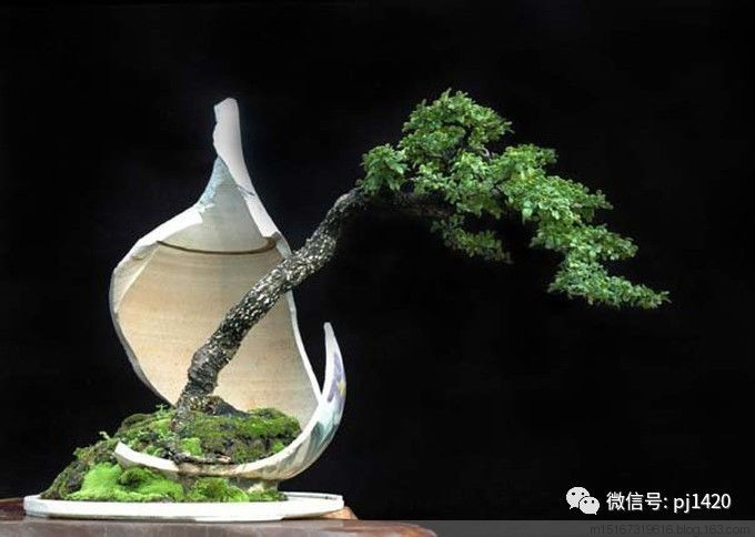 破罐子大有用处