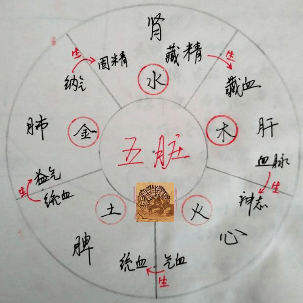 大医精诚中医千年秘传的面诊口诀浓缩的都是精华