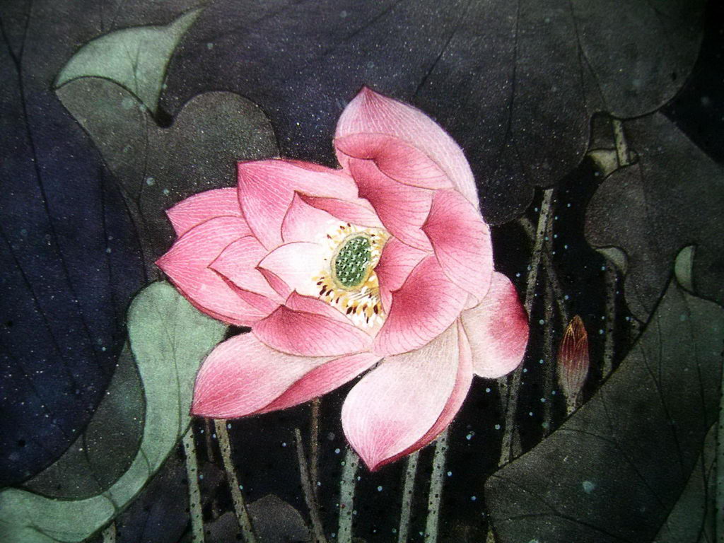 名家画工笔荷花81p