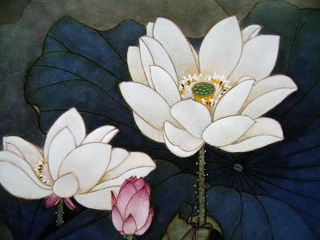 名家画工笔荷花81p