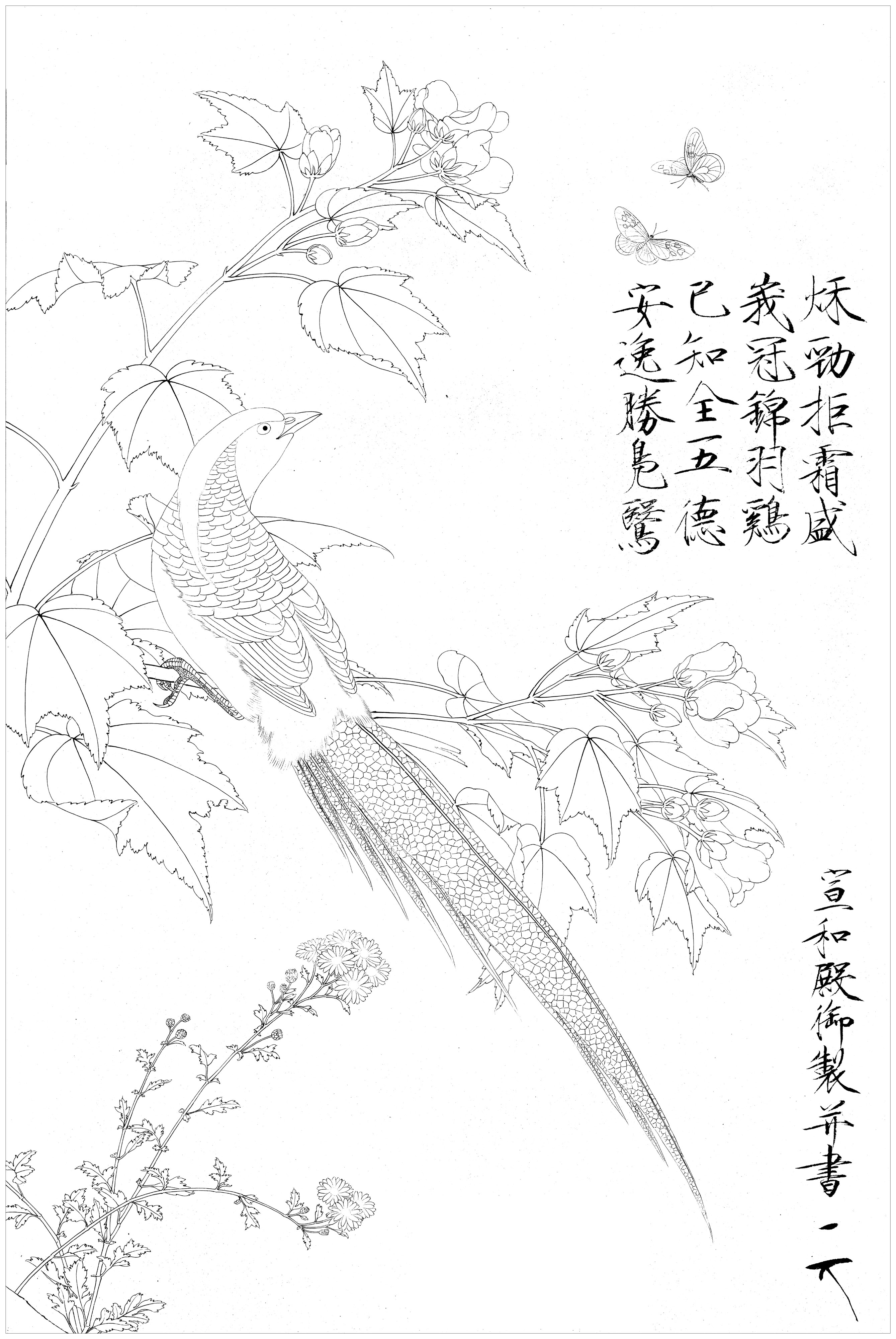 李晓明临宋赵佶芙蓉锦鸡图绘制步骤